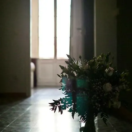 Tatil Evi Can Cardona *